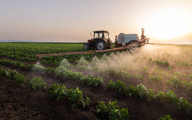 Pest Control Cost in Umatilla, OR