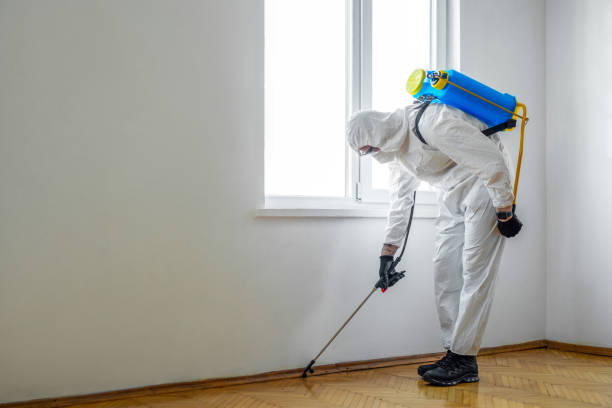 Best Pest Prevention Services  in Umatilla, OR