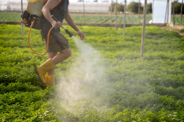 Best Local Pest Control Services  in Umatilla, OR