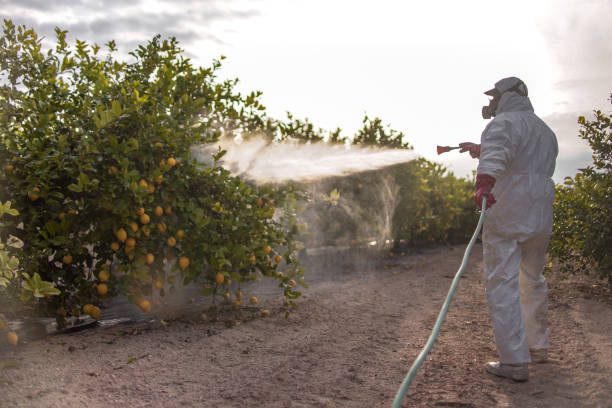 Best Flea Control Services  in Umatilla, OR