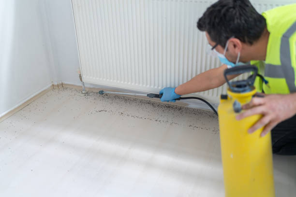 Best Affordable Pest Control Services  in Umatilla, OR