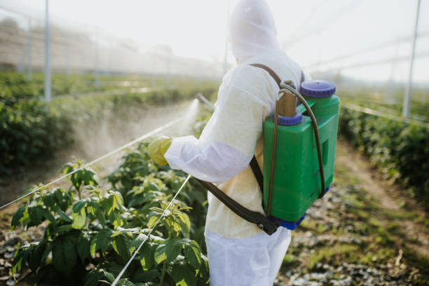  Umatilla, OR Pest Control Pros